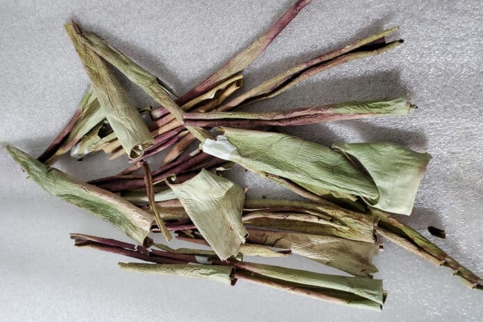 Pictured here are aloe rinds.