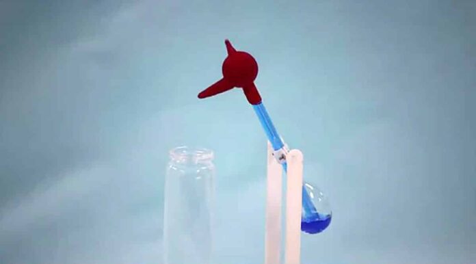 Drinking bird.