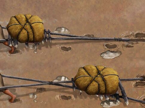 Gabriel-Ugueto Study uncovered earliest evidence of transport technology