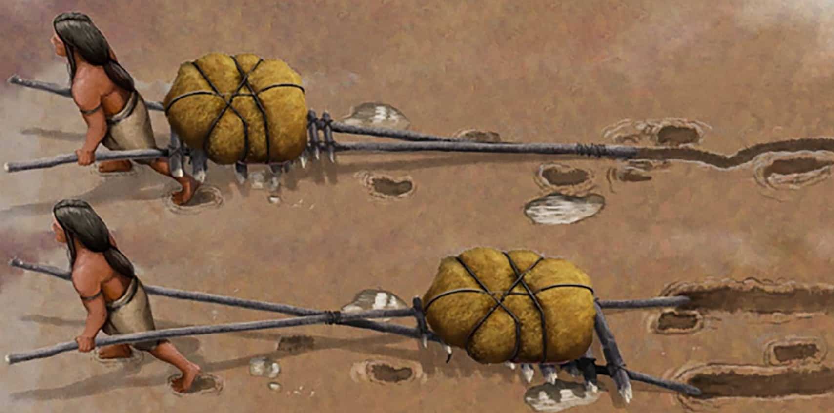 Study uncovered earliest evidence of transport technology
