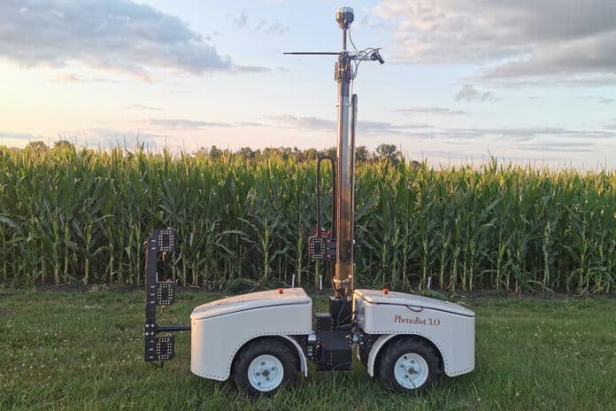 This image shows the autonomous robot, with multiple tiers of PhenoStereo cameras, that are part of the AngleNet system.