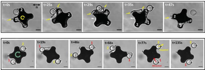 The researchers’ microrobots use “physical intelligence” to exert control over nearby objects.