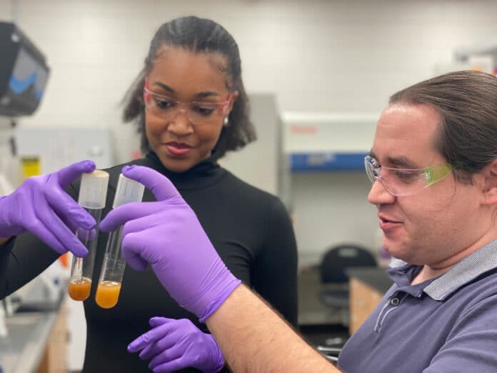 Georgia Tech researchers have engineered one of the world’s first yeast cells able to harness energy from light.
