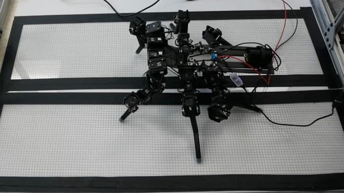 Drosophibot, a fruit fly inspired bio-robot, walking.