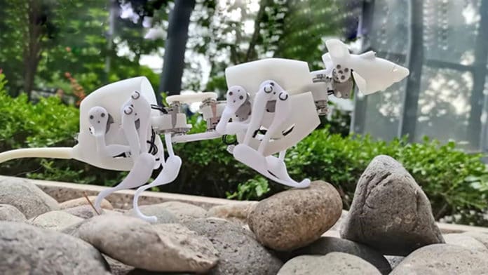The robotic rat can perform multiple motions in narrow spaces.