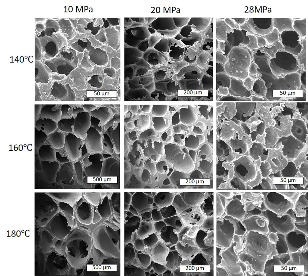 New method turns biodegradable plastic into foam to combat pollution