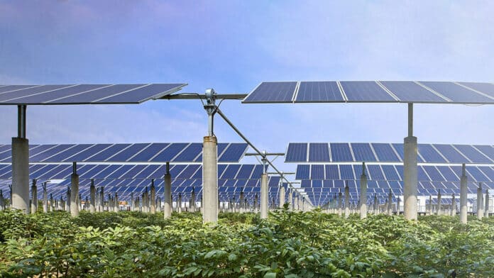 Uniper plans to develop 317MWp solar parks in Germany