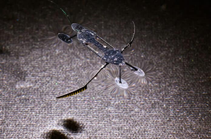 The WaterStrider weighs 55 milligrams and can move at 6 millimeters per second.