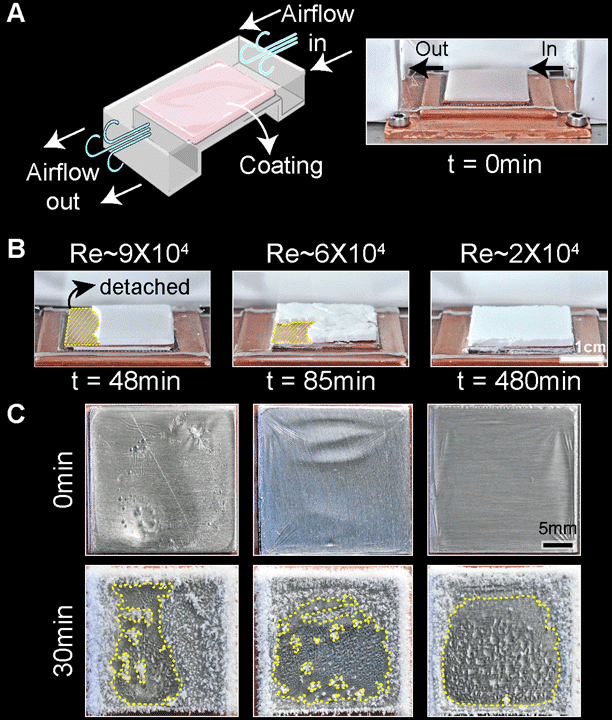 Gels under high shear airflow