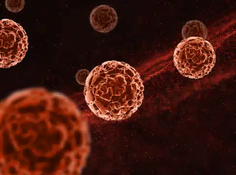 cancer cells
