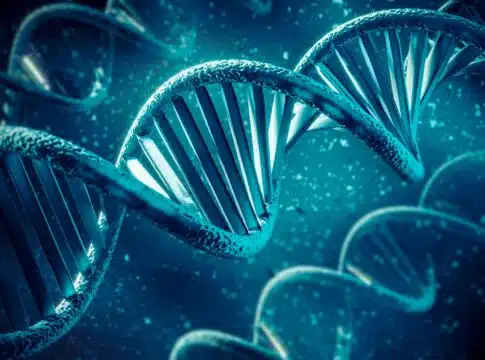 3d representation of dna
