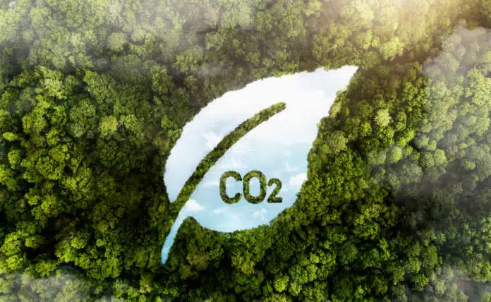 green forest trees with co2