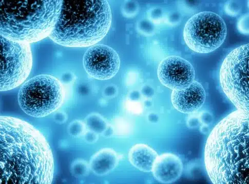 Close-up of virus or bacteria cells