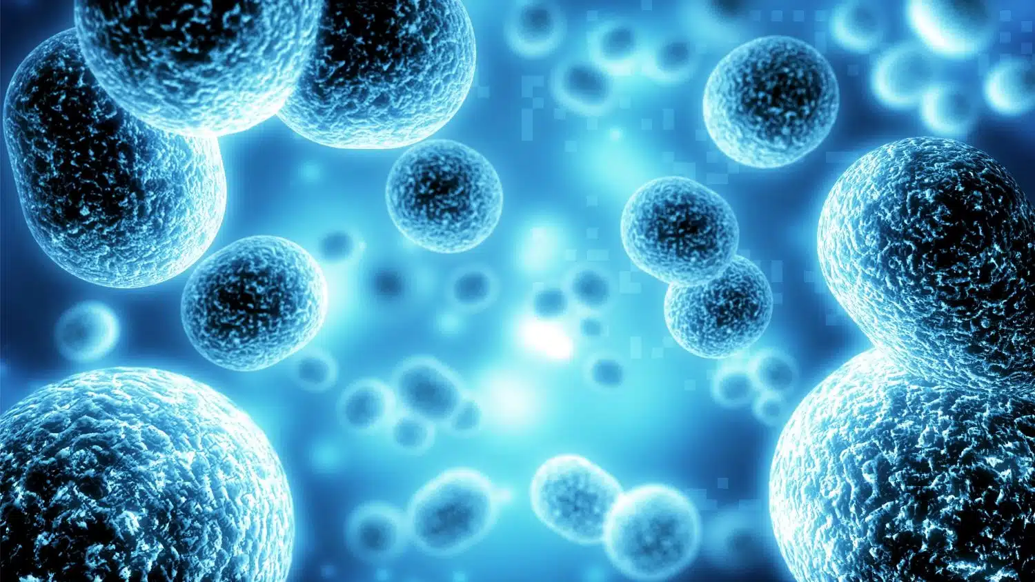 Close-up of virus or bacteria cells