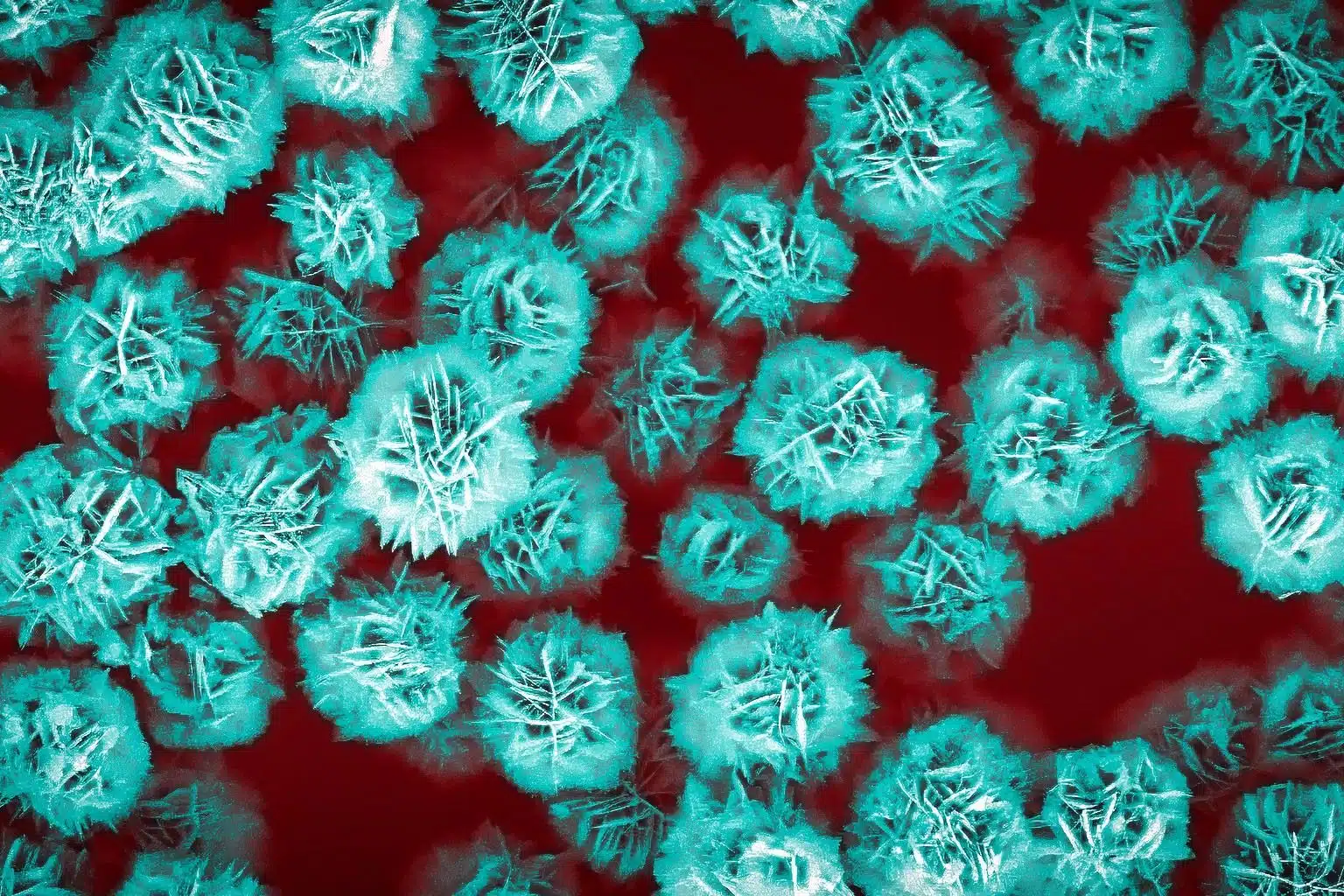 flower-like zinc oxide