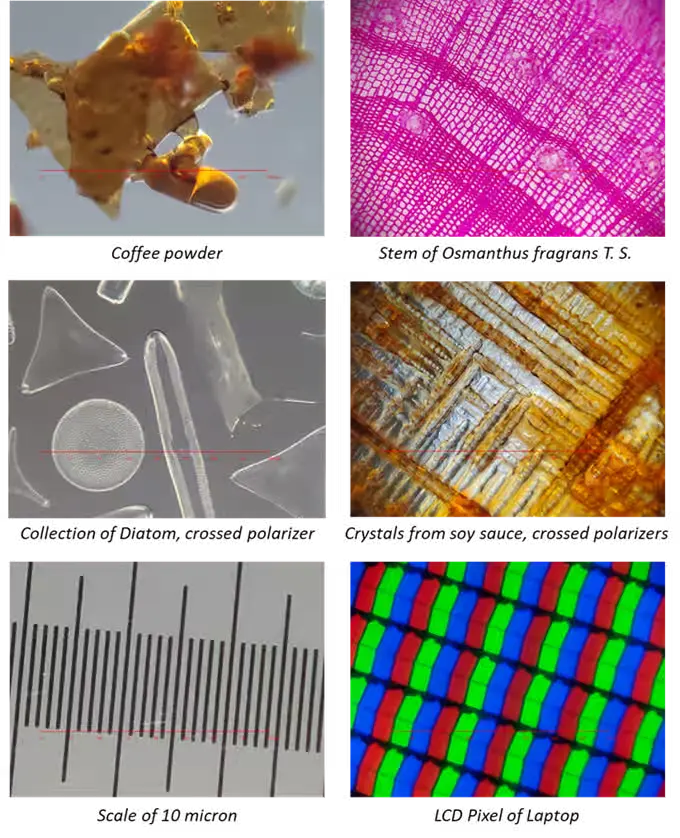 images by imicro q3p