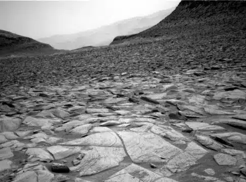 Martian Wonderland