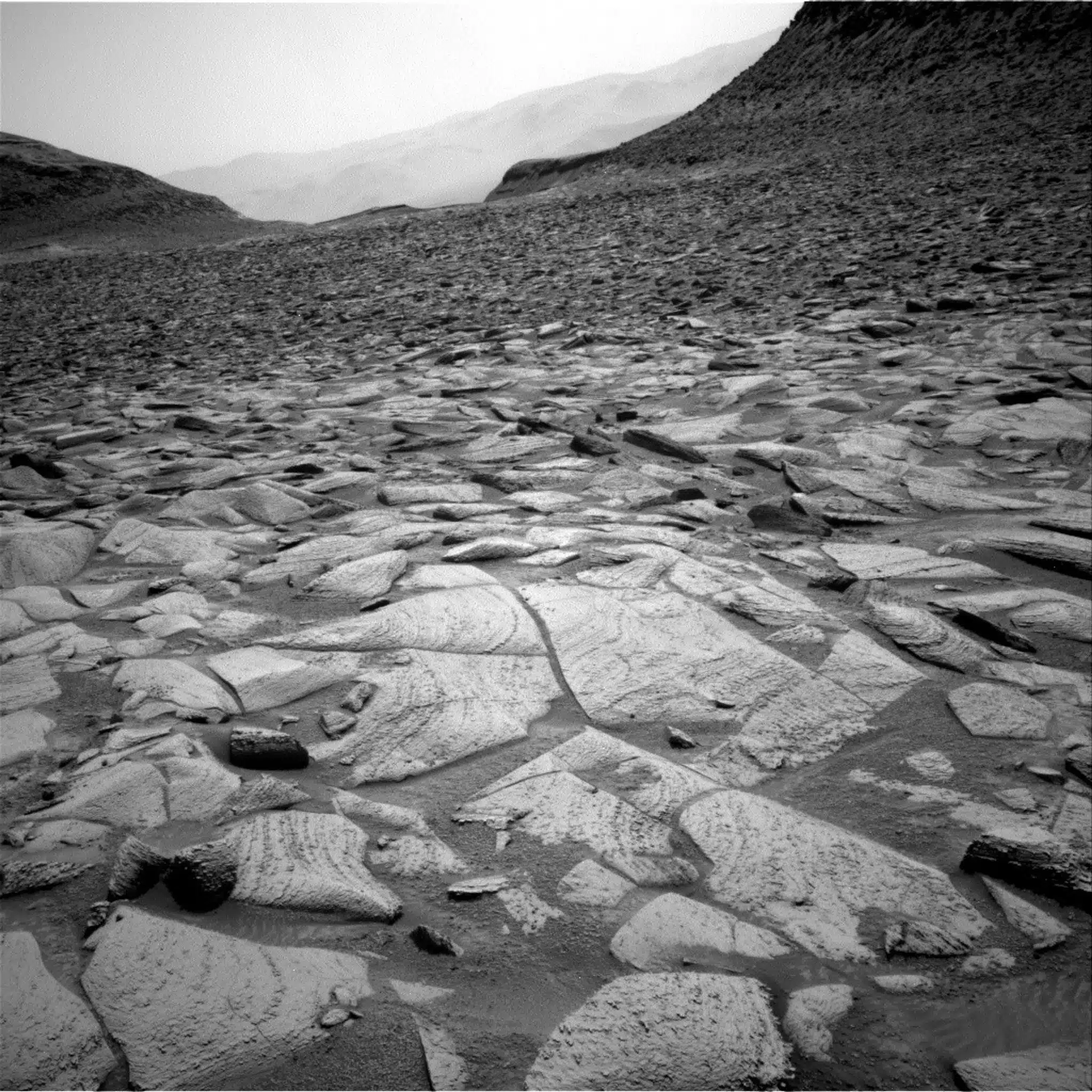 Martian Wonderland