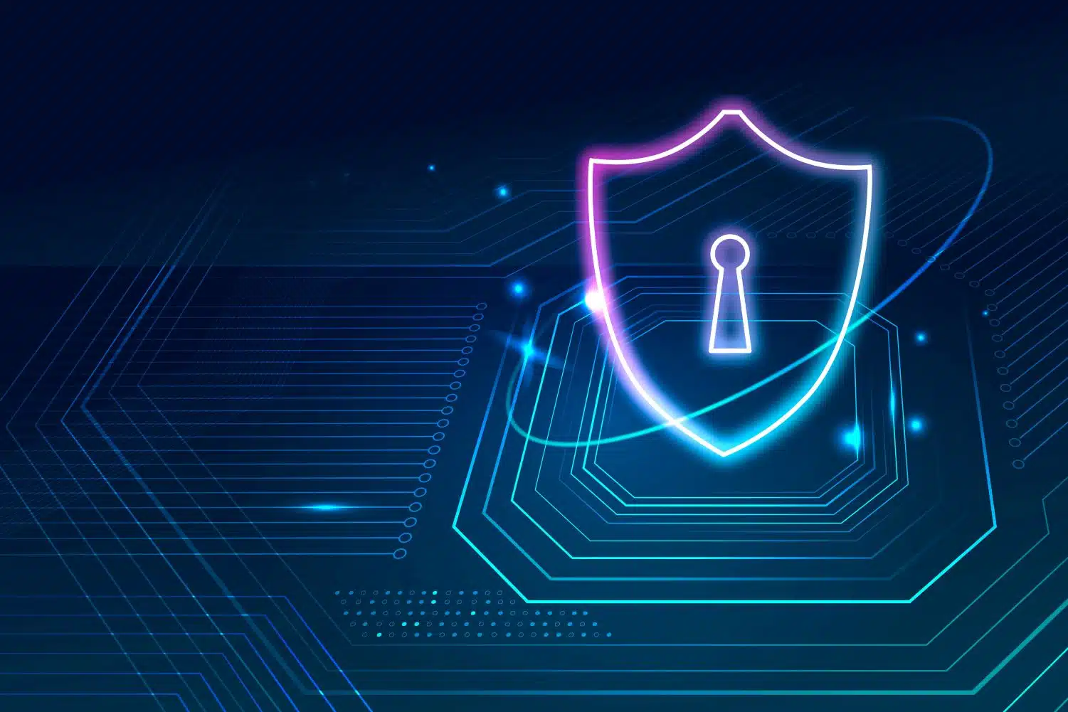 LLM privacy
