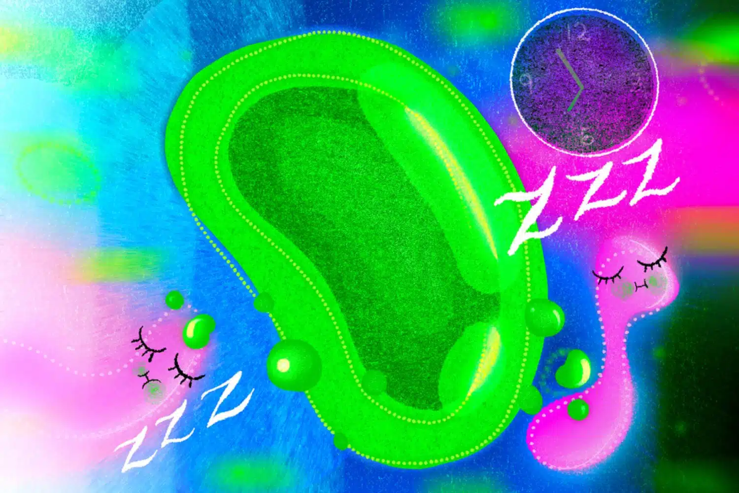 Prochlorococcus