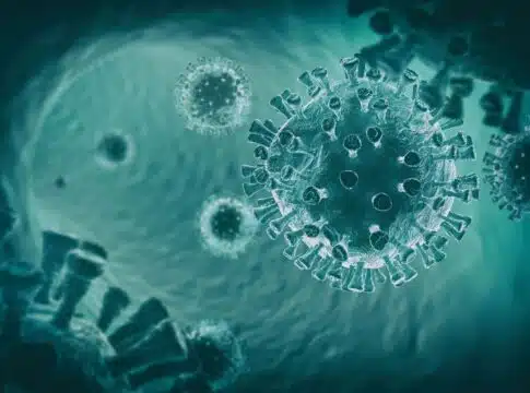 virus sars cov 2