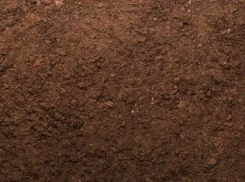 soil