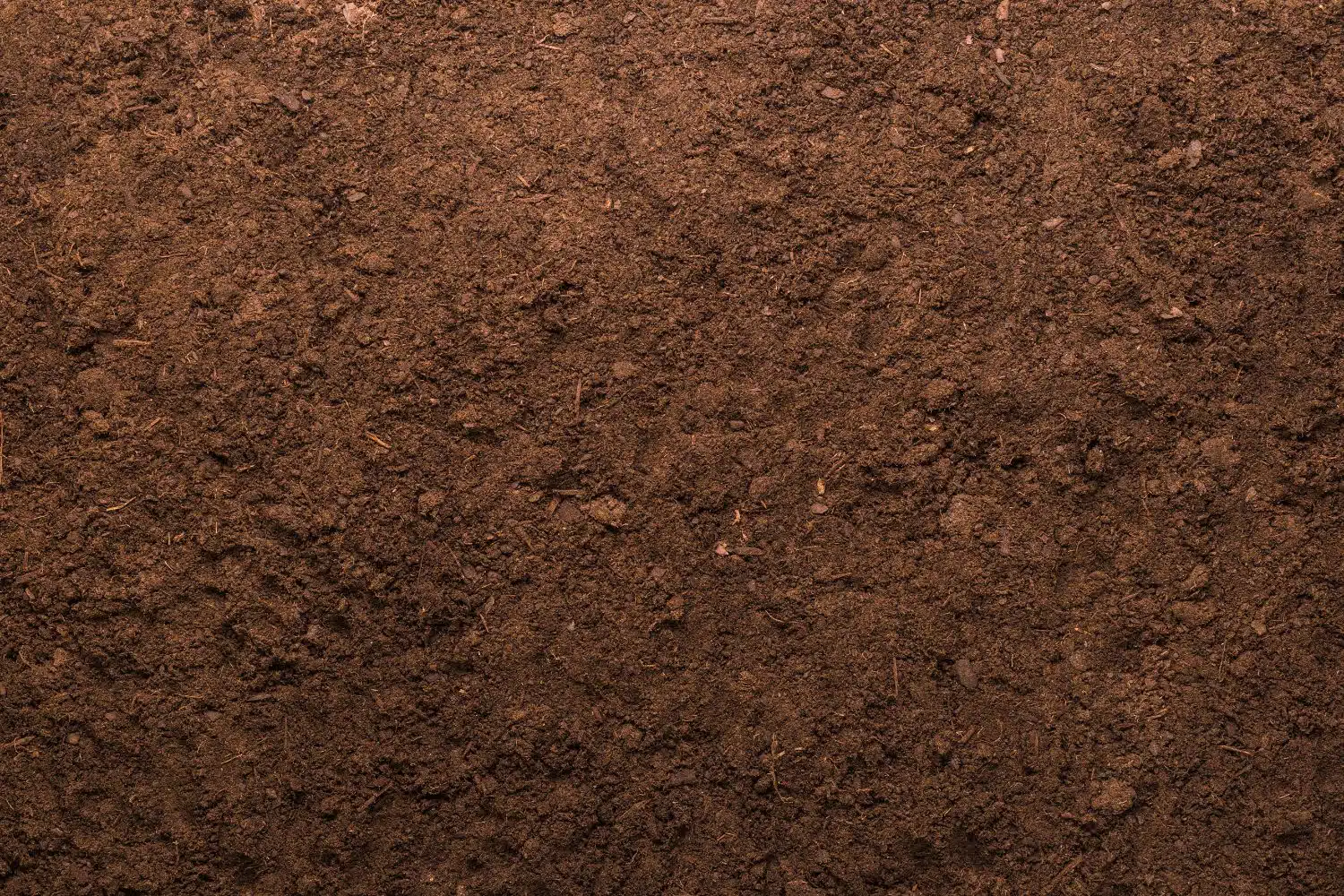 soil