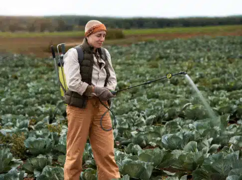 A women is spraying fertilizer