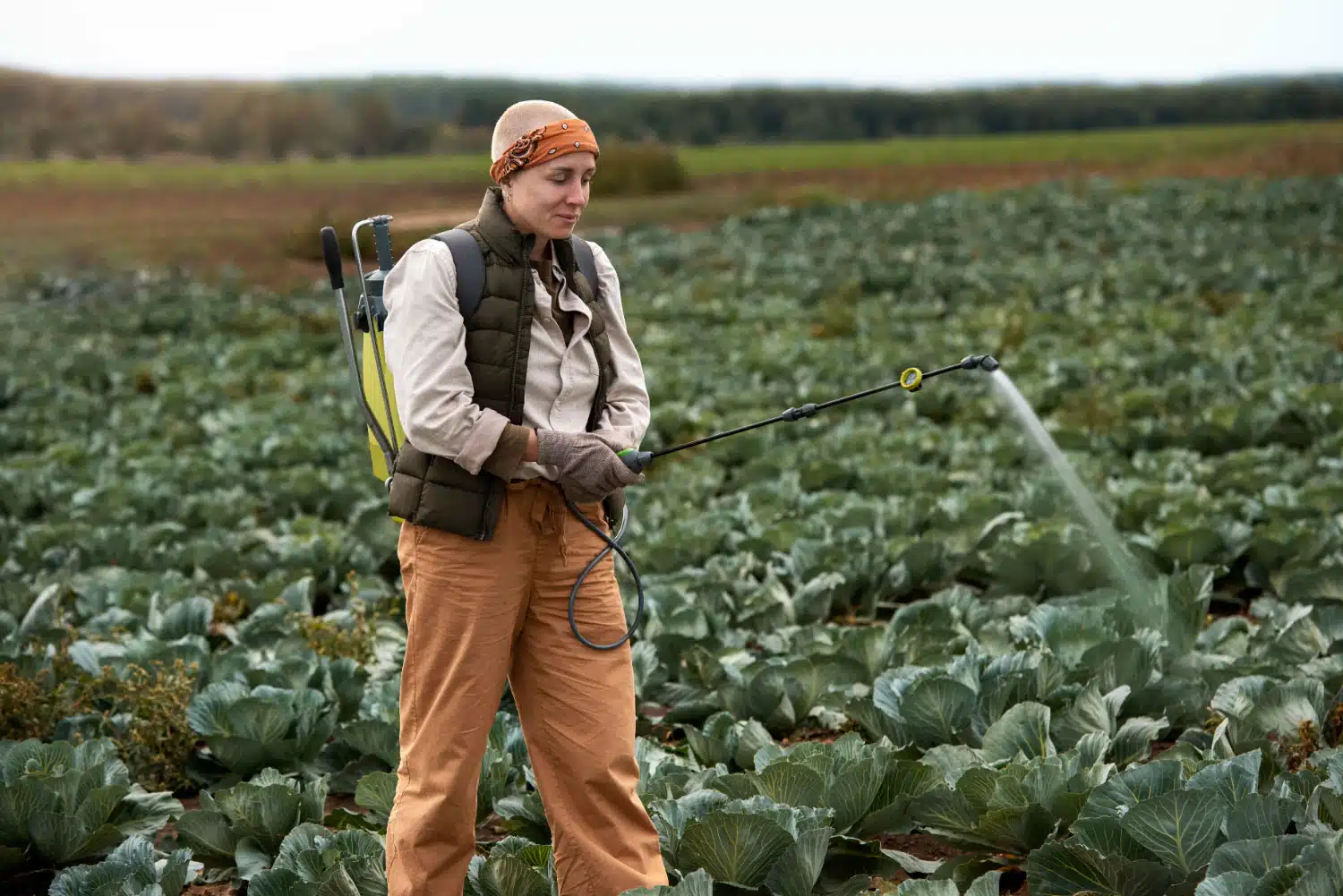 A women is spraying fertilizer