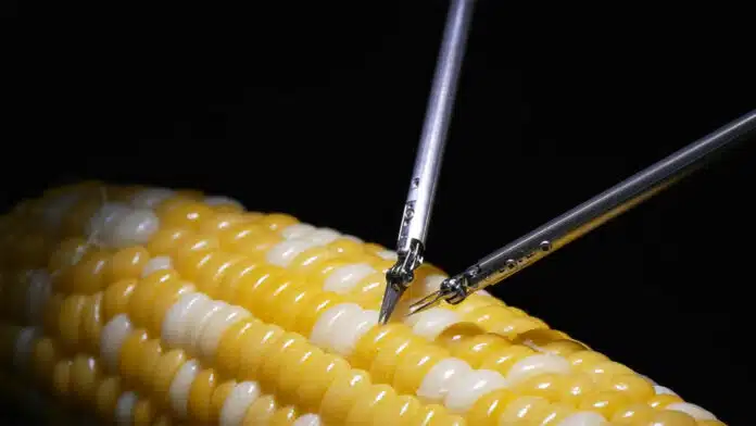 Microsurgery Assistance Robot Stitching a Corn Kernel.